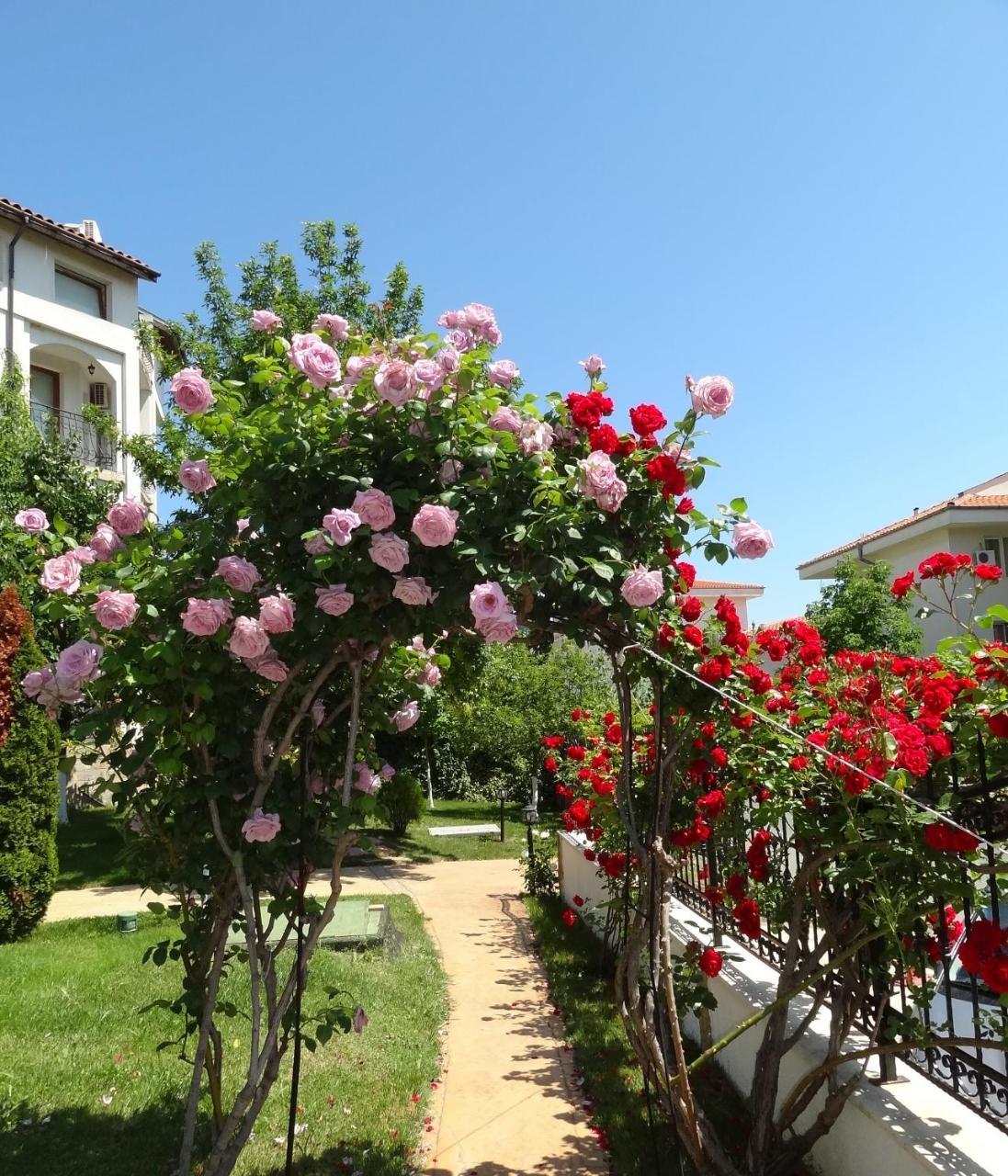Triumph Holiday Village Sveti Vlas Exteriör bild